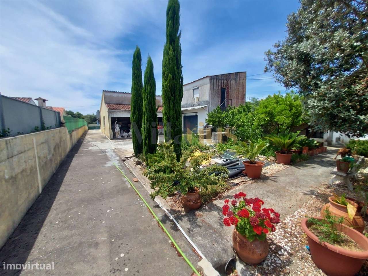 Moradia T2 com Piscina, Pomar e Garagens Duplas a 5 Minutos de Tomar | - Grande imagem: 5/25