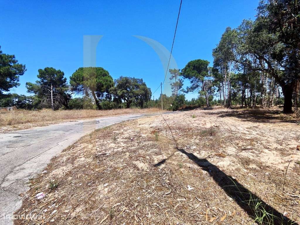 Venda conjunta de 105 lotes de terreno na Urbanização Pinhal de Neg...-13