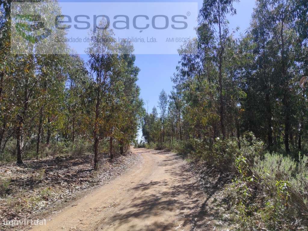 Terreno Rustico - Grande imagem: 4/12