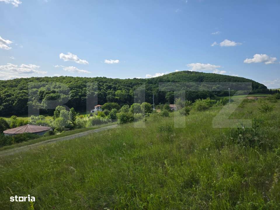 Teren potrivit pentru investitie in zona complexului Domeniul Regilor. - Imagine principală: 4/5