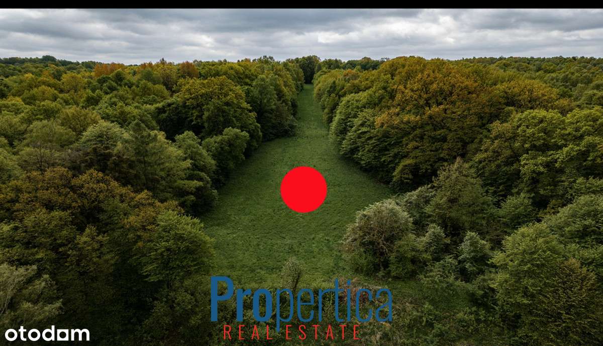 Budowlana. Łąka. Las. Wąwóz. 950m od Rynku!-2