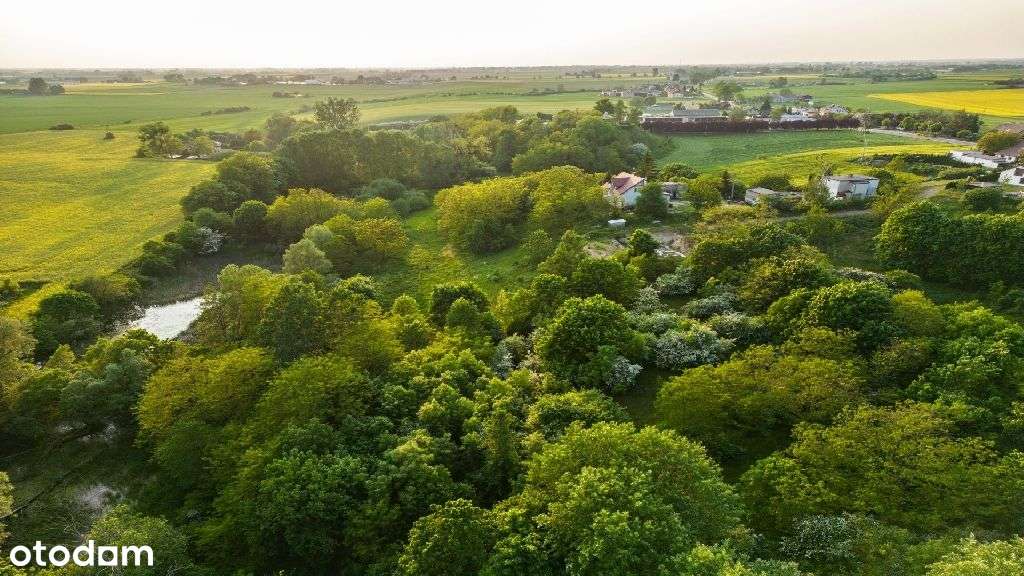 Świetna oferta z okazji Świąt tylko do końca roku!-5