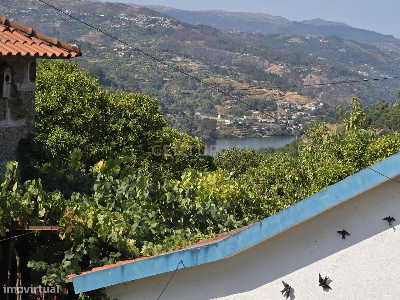 Quintinha - São Tomé de Covelas, Baião-2