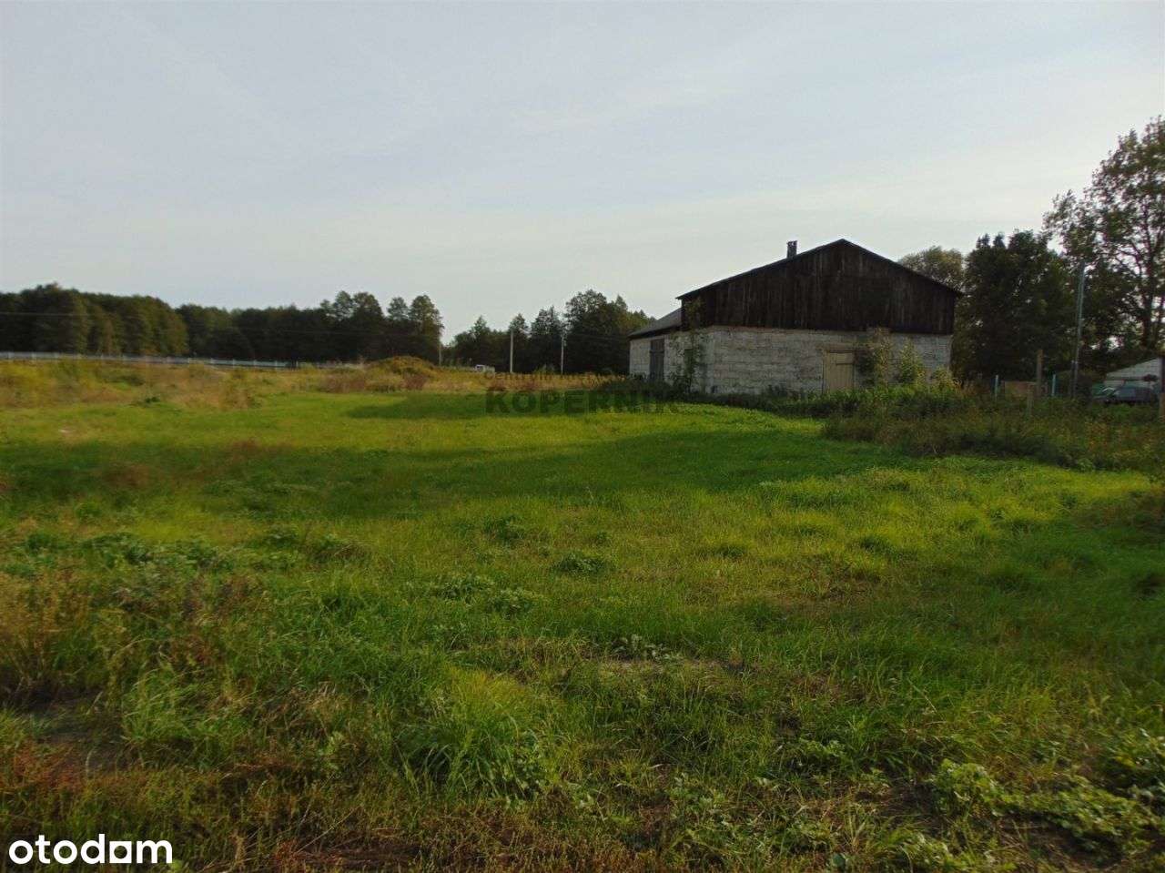 Siedlisko blisko Torunia!!!! - Pełny obrazek: 5/11