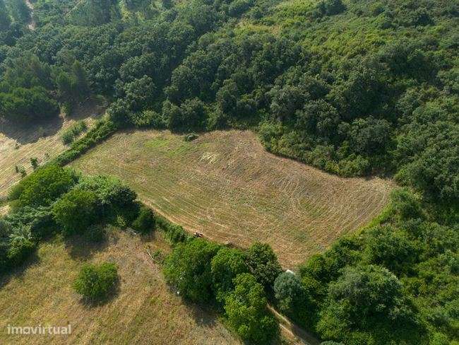 Dois terrenos rústicos - Grande imagem: 2/8