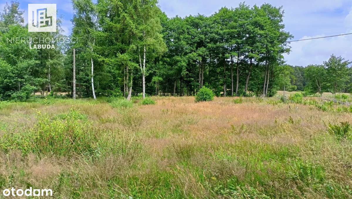 Działka budowlana na morzem Machowinko k/Ustki - Pełny obrazek: 1/9