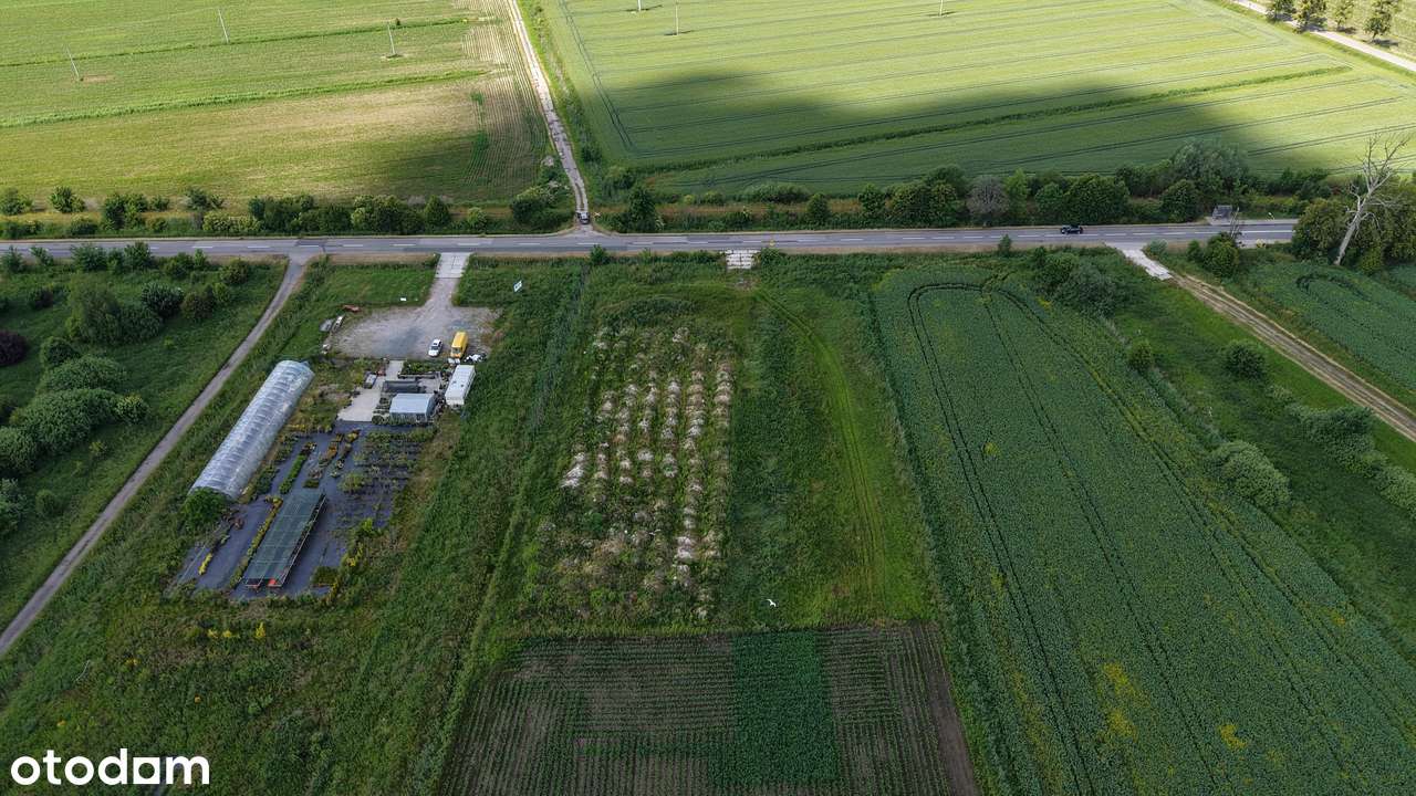 Działaka przemysłowa, Elbląg ul. Mazurska, 4554M2-6