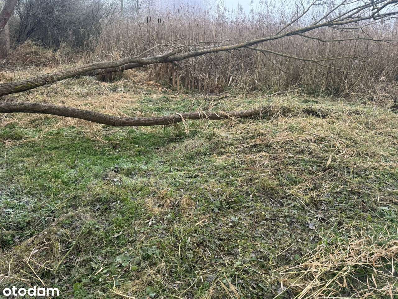 NA Sprzedaz Działka Z Linią Brzegową Jeziora-6