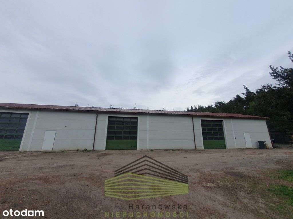 Hala Magazynowa Produkcyjna Trzebicz - Pełny obrazek: 4/13