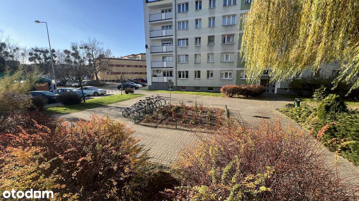 Kawalerka po generalnym remoncie. REZERWACJA - Pełny obrazek: 4/18