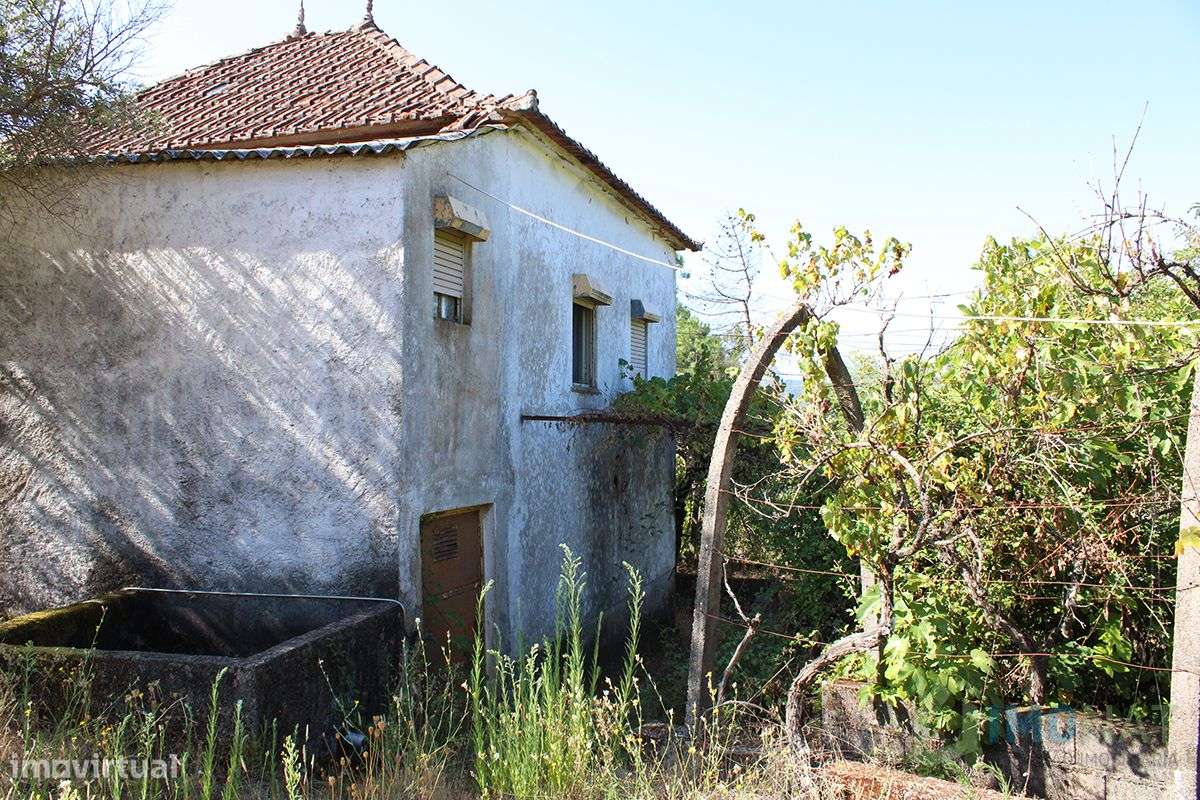 Quinta T3 - Grande imagem: 4/46