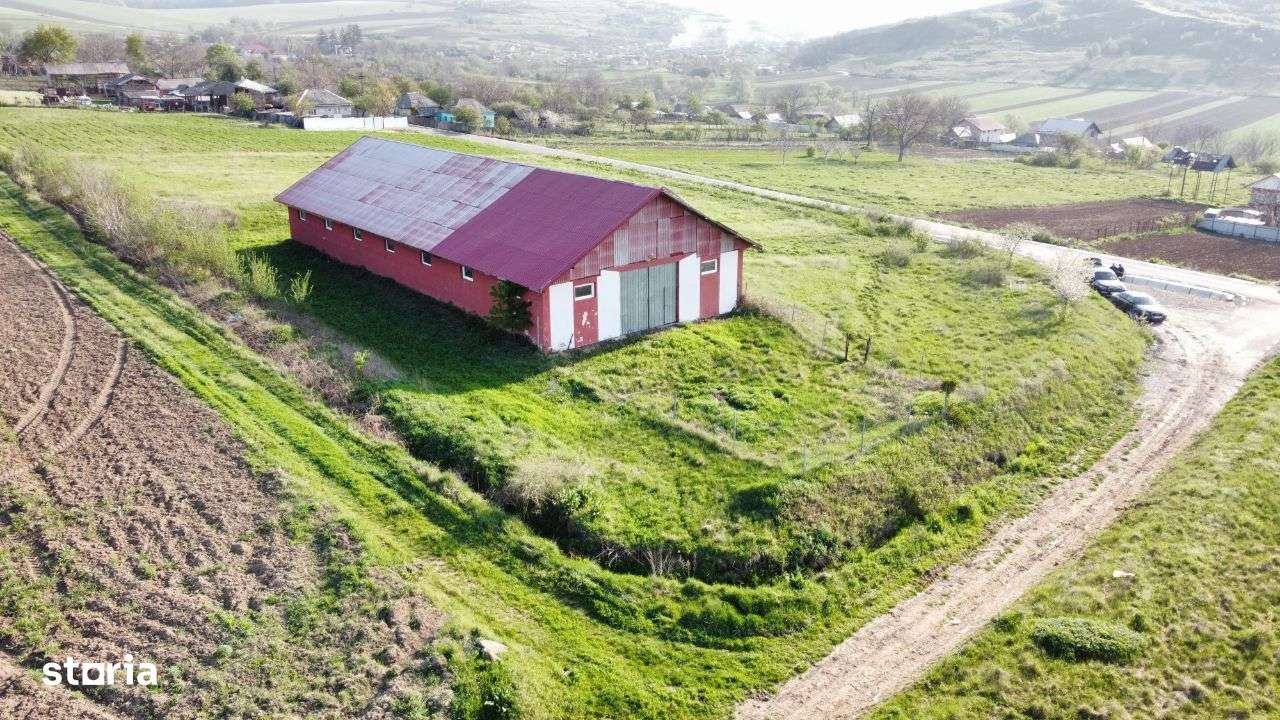 Hala - Spatiu Comercial - Livada , Sat Ciuturesti - Com. Secuieni-5