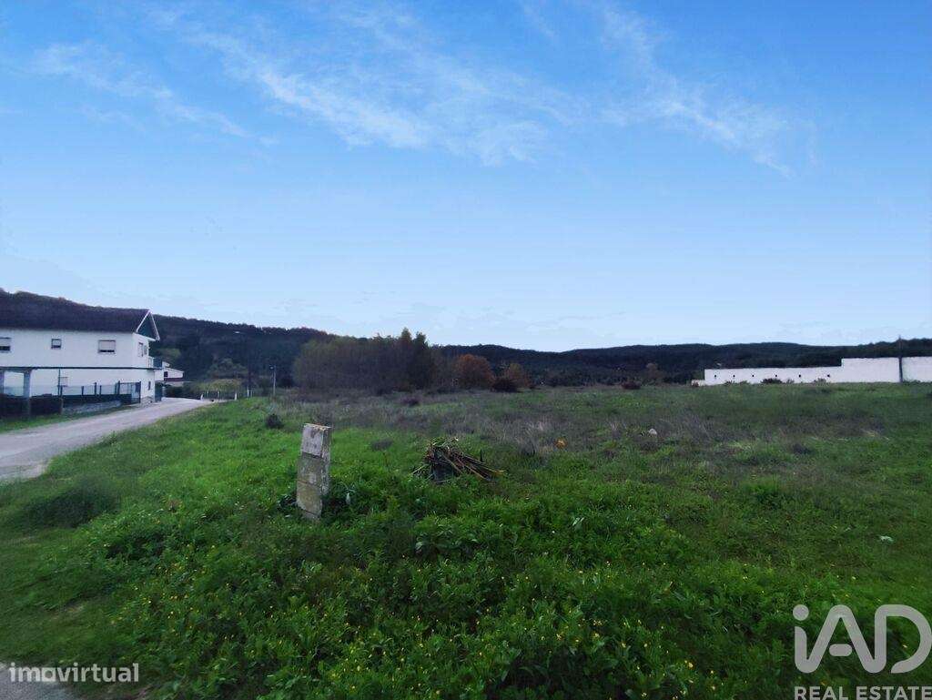 Terreno em Alcoentre - Grande imagem: 5/33