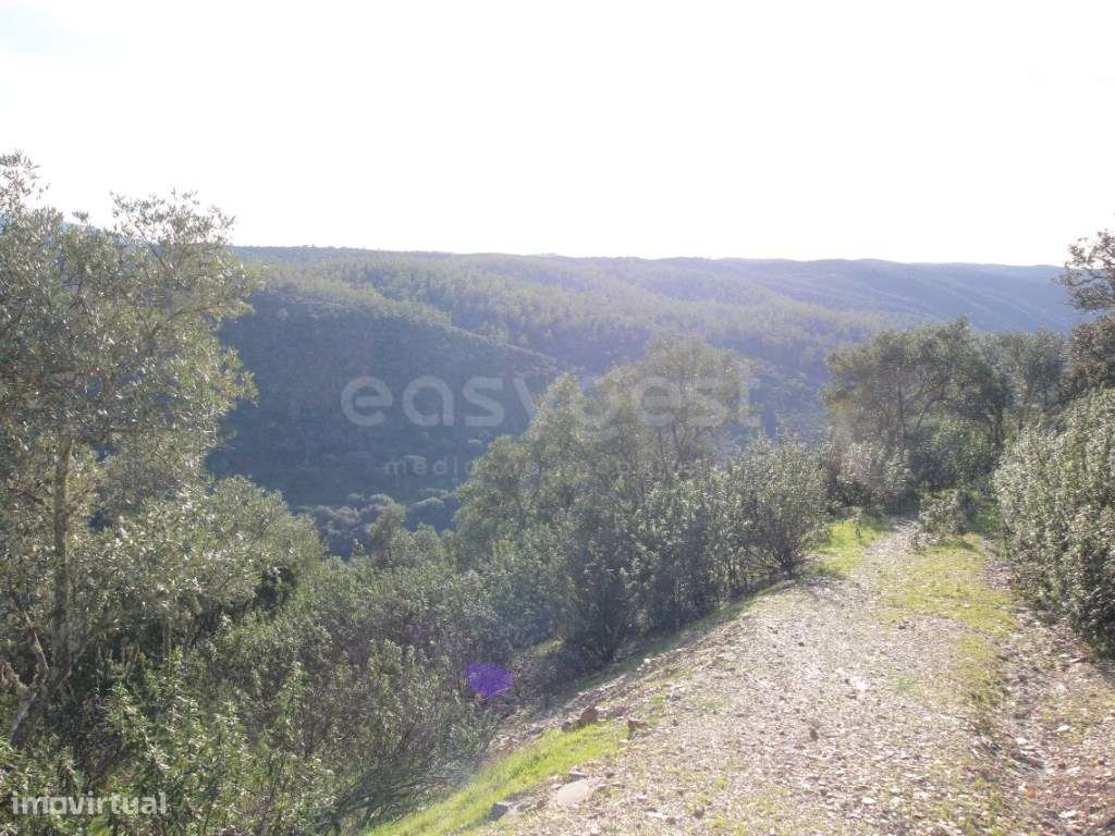 Herdade com acesso direto ao Rio Tejo Parque Natural do Tejo Intern... - Grande imagem: 3/11