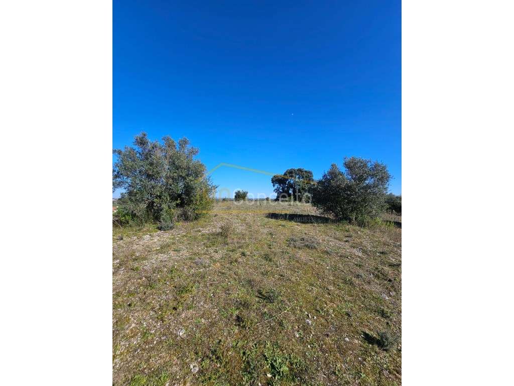 Terreno | Lamarosa - Grande imagem: 4/5