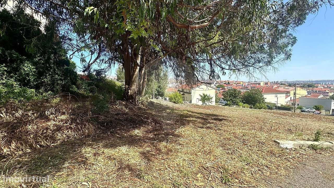 Terreno  para venda-5