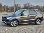 Mercedes-Benz ML 350 BlueTec 4-Matic - 7