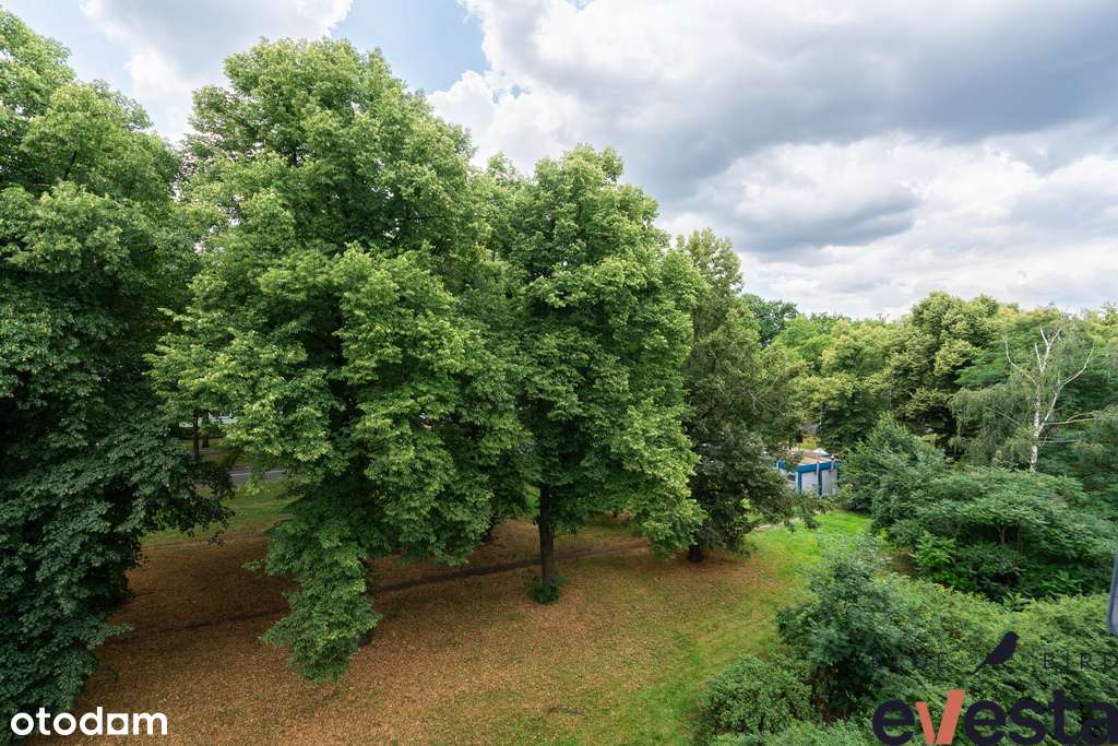 ✧3 pok. ✧Osobna kuchnia ✧Park ✧Parking ✧Biskupin - Pełny obrazek: 3/20