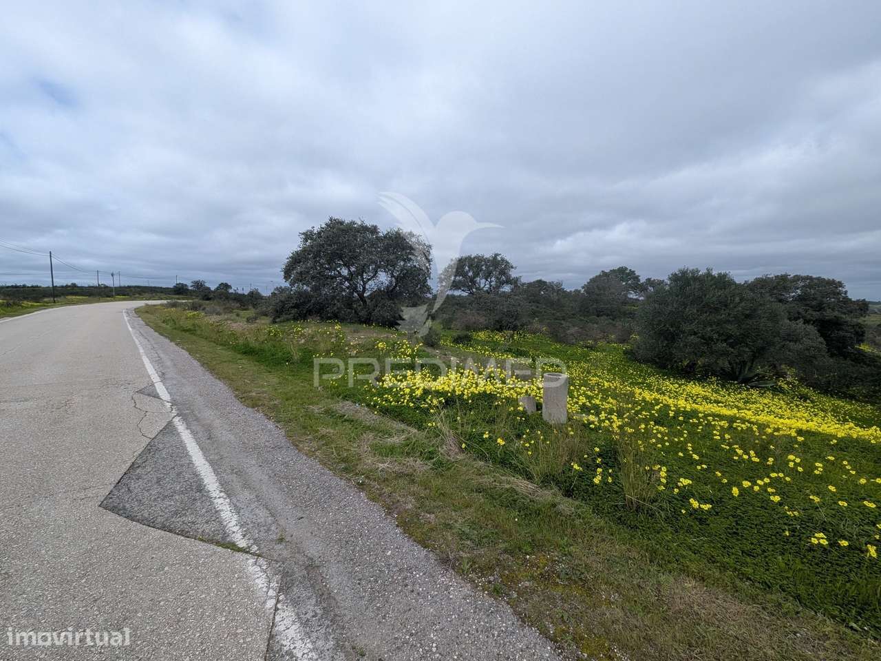 Terreno rústico com 1,63ha no Azinhal - Grande imagem: 4/10