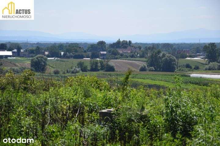 Działka 52 ar z widokiem na Tatry - Pełny obrazek: 4/7