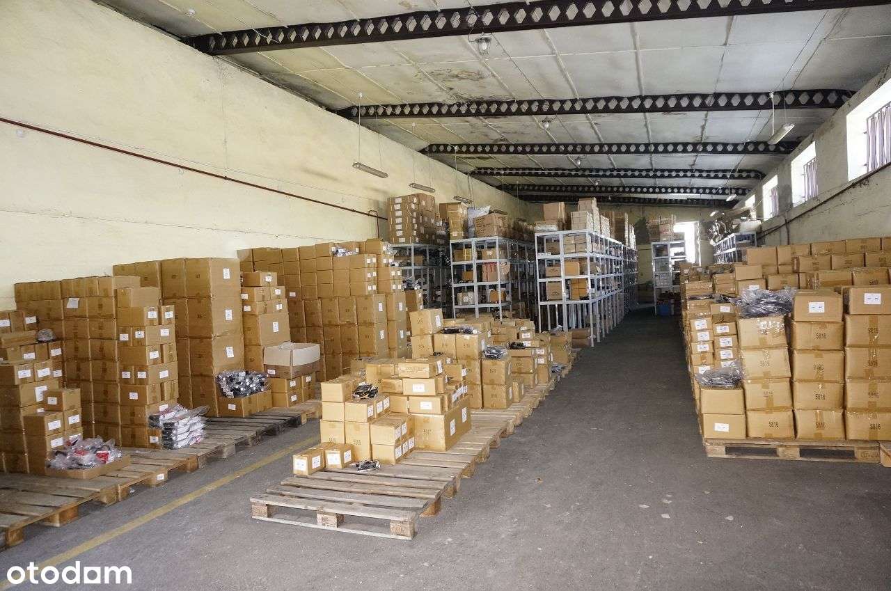 Magazyn 150 lub 300 lub 450, 900m2 plac TIR hala - Pełny obrazek: 5/20