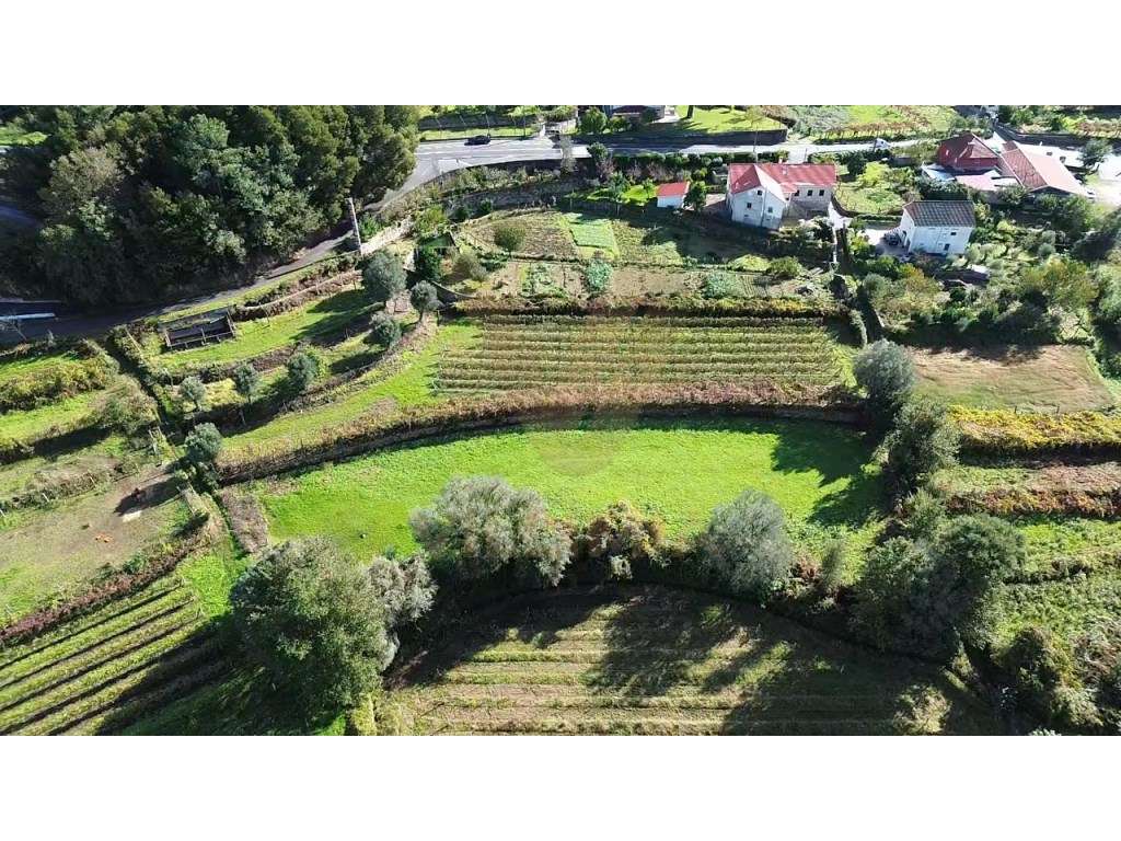 Terreno Rústico 2 300 m² - Cepões - Ponte de Lima - Grande imagem: 4/6