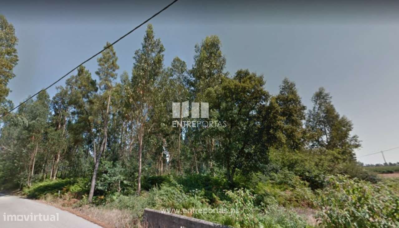 Venda de Terreno Florestal, Rates, Póvoa de Varzim - Grande imagem: 5/27