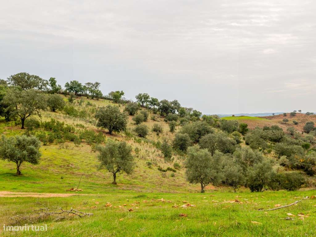 Investimento em Serpa: 6,5ha c/ Viabilidade Turística-20