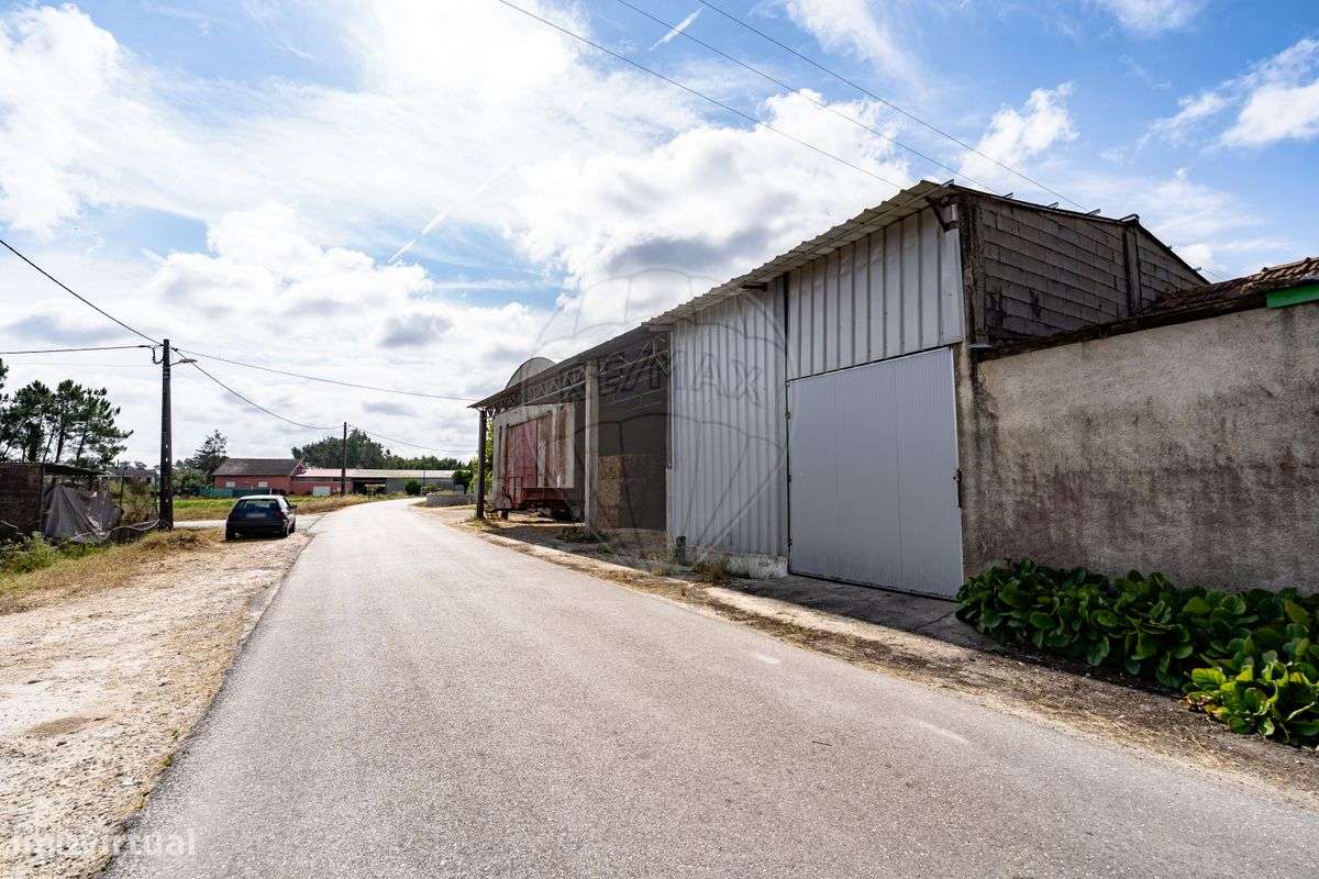 Armazém  para venda - Grande imagem: 5/11