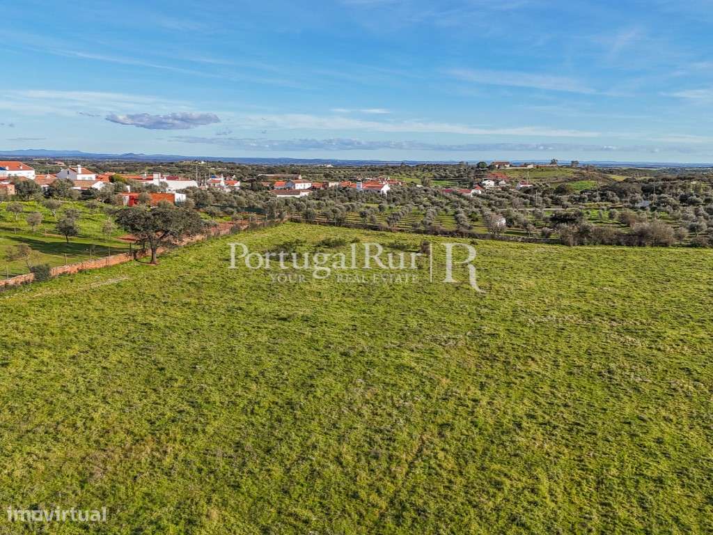 Herdade de 23 hectares com construções rurais - Grande imagem: 4/19