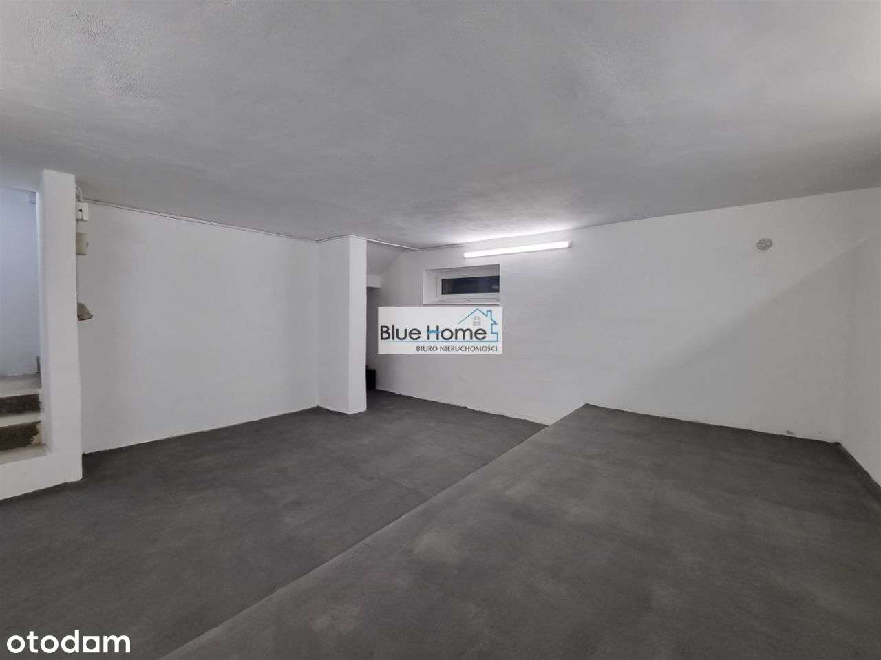 Lokal z dużymi witrynami - Pełny obrazek: 5/8