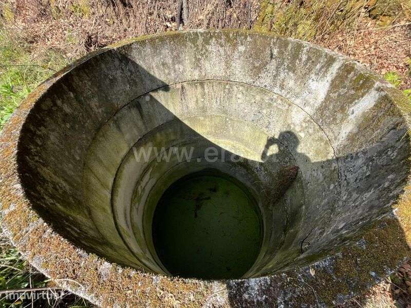 Terreno / Seia, Sameice e Santa Eulália - Grande imagem: 4/15