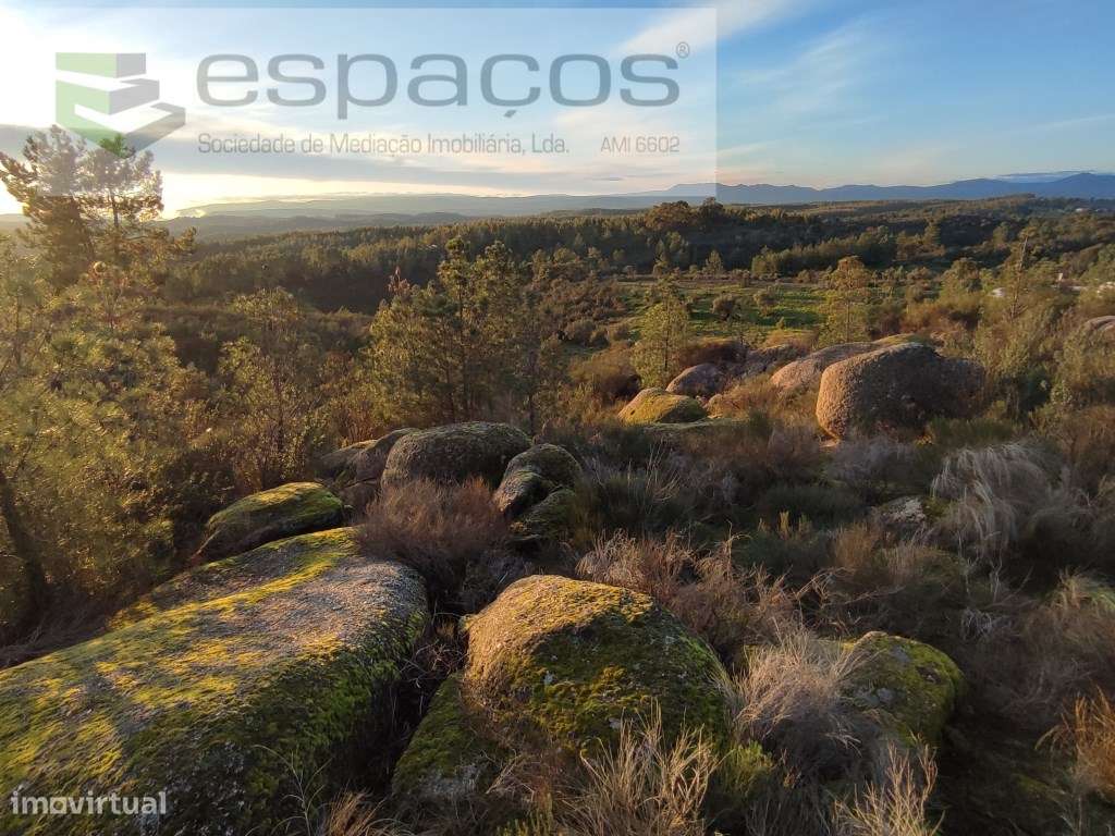 Terreno rústico com afloramentos rochosos - Palvarinho - Grande imagem: 2/11