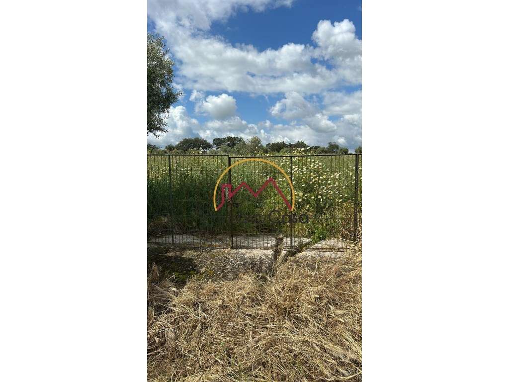 Terreno em Cabeça de Carneiro - Grande imagem: 3/8