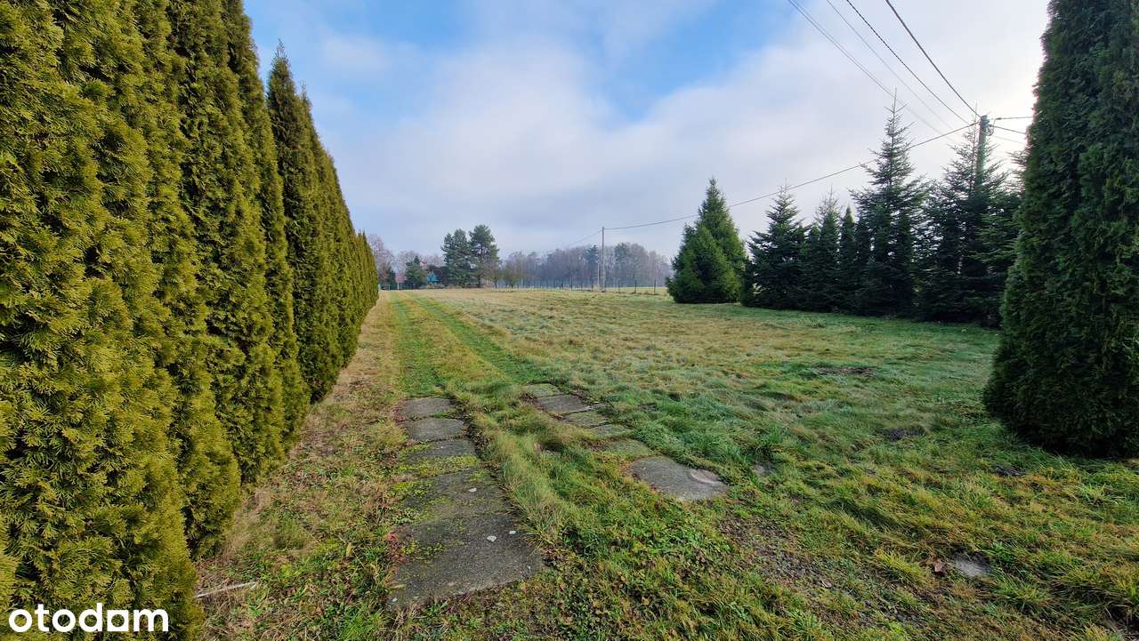 Działka w cichej okolicy - Pełny obrazek: 2/8