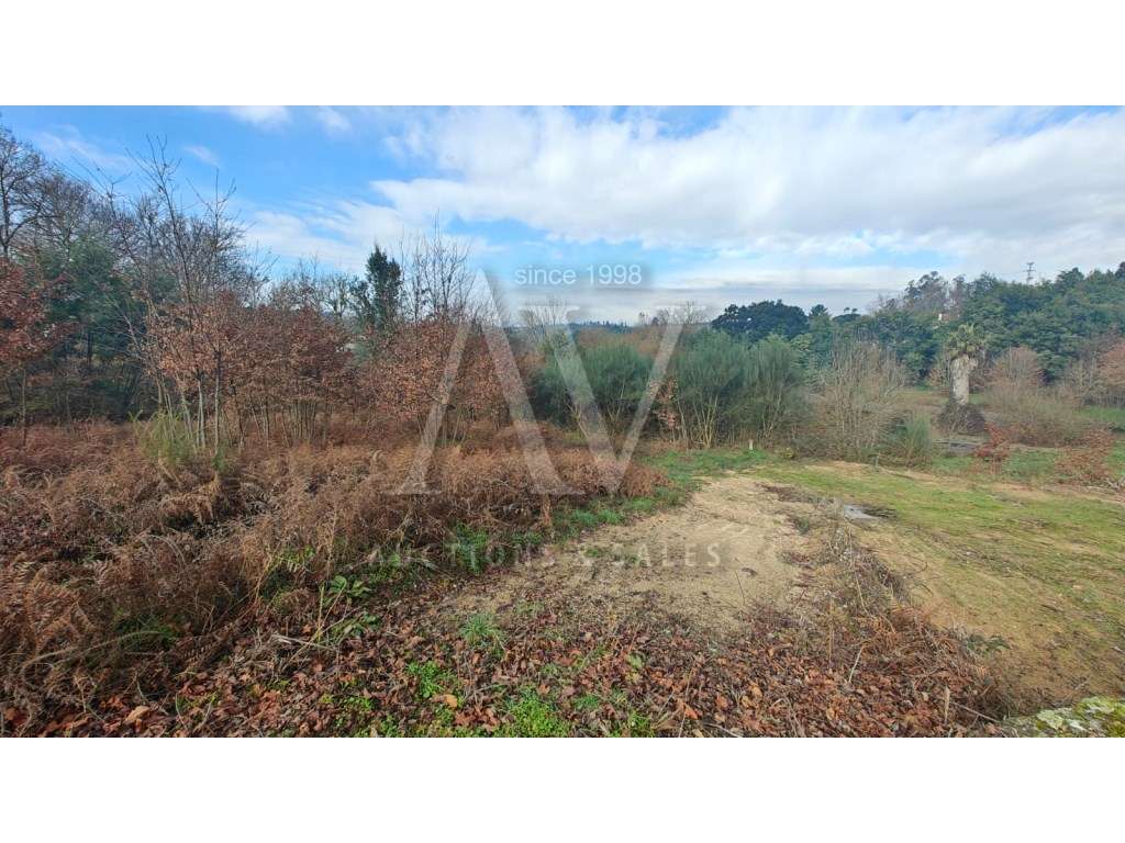 Terreno para construção - SANTA COMBA DÃO | LEILÃO ELETRÓNICO | FIM... - Grande imagem: 3/7