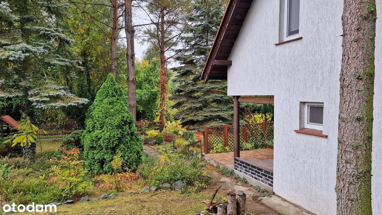 Zabudowa domem działka rekreacyjna /zameldowanie/ - Pełny obrazek: 4/20