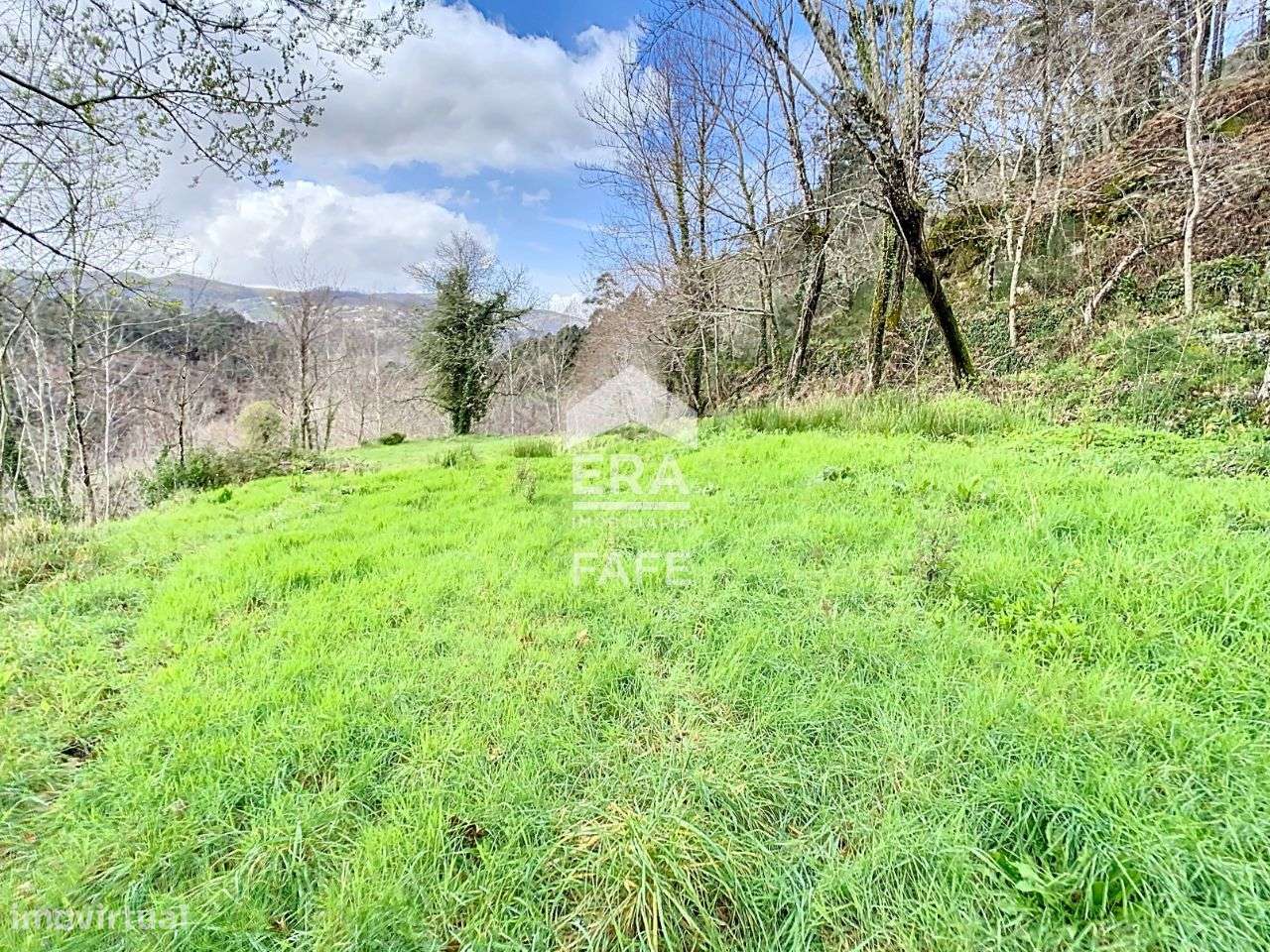 Terreno com a área de 8.100m2 em Cabeceiras de Basto - Grande imagem: 3/12
