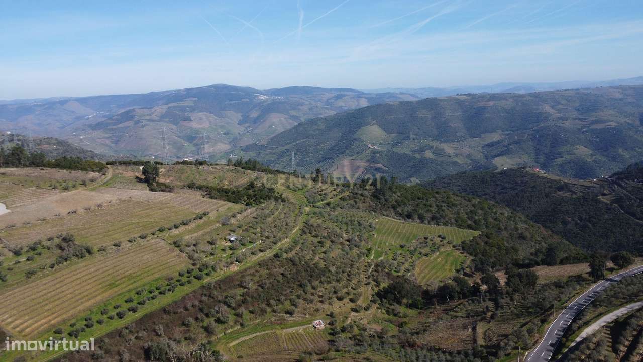 Quinta no Alto Douro Vinhateiro com Projeto Turístico Aprovado-32
