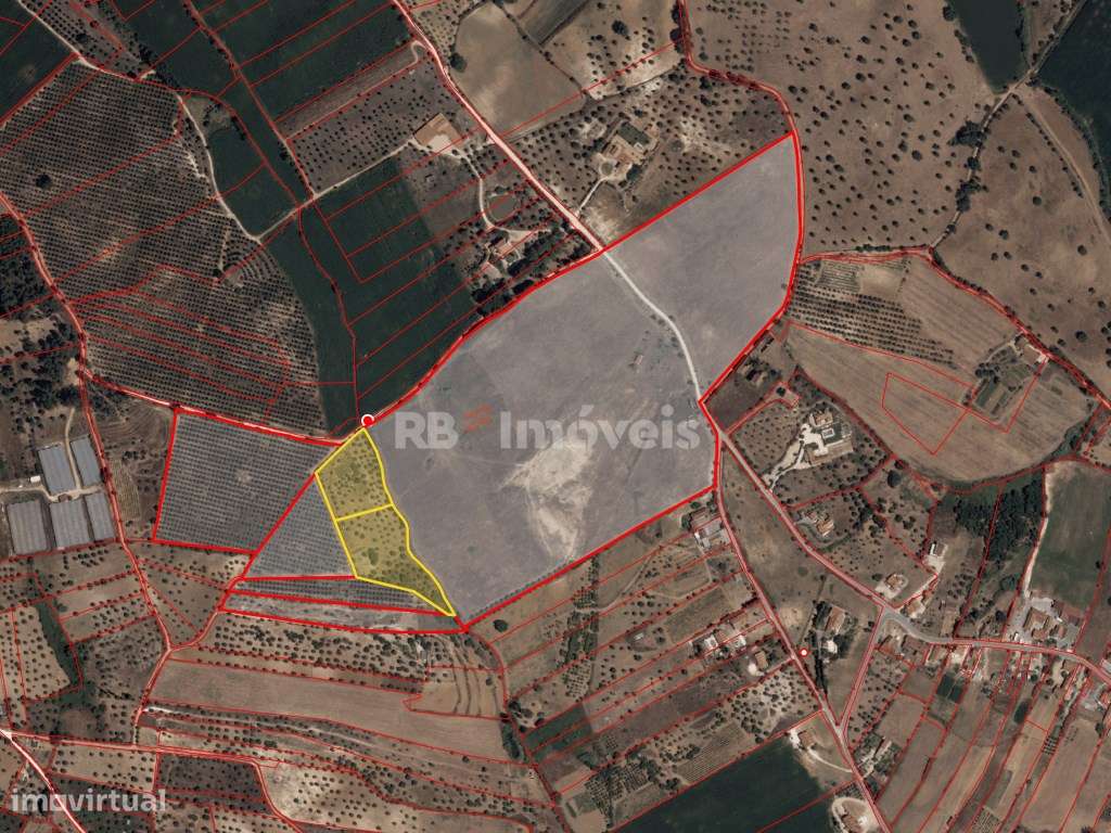 2 Terrenos Rústicos com área total de 14.320 m2, na freguesia de Br... - Grande imagem: 4/5