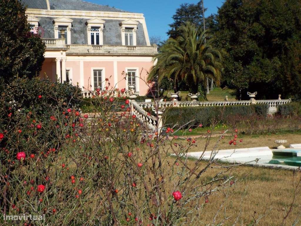 Venda de Magnífico Palácio em Elvas - Grande imagem: 5/60
