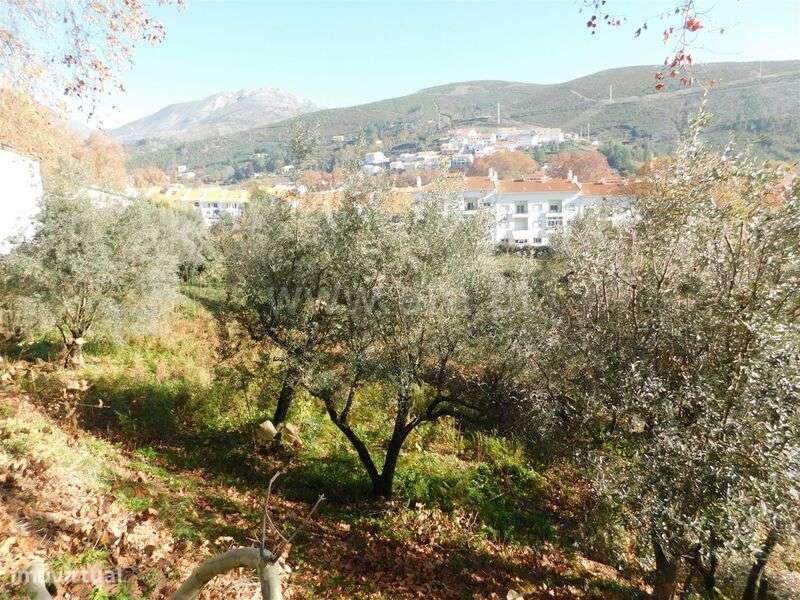 Terreno / Covilhã, Unhais da Serra - Grande imagem: 2/13
