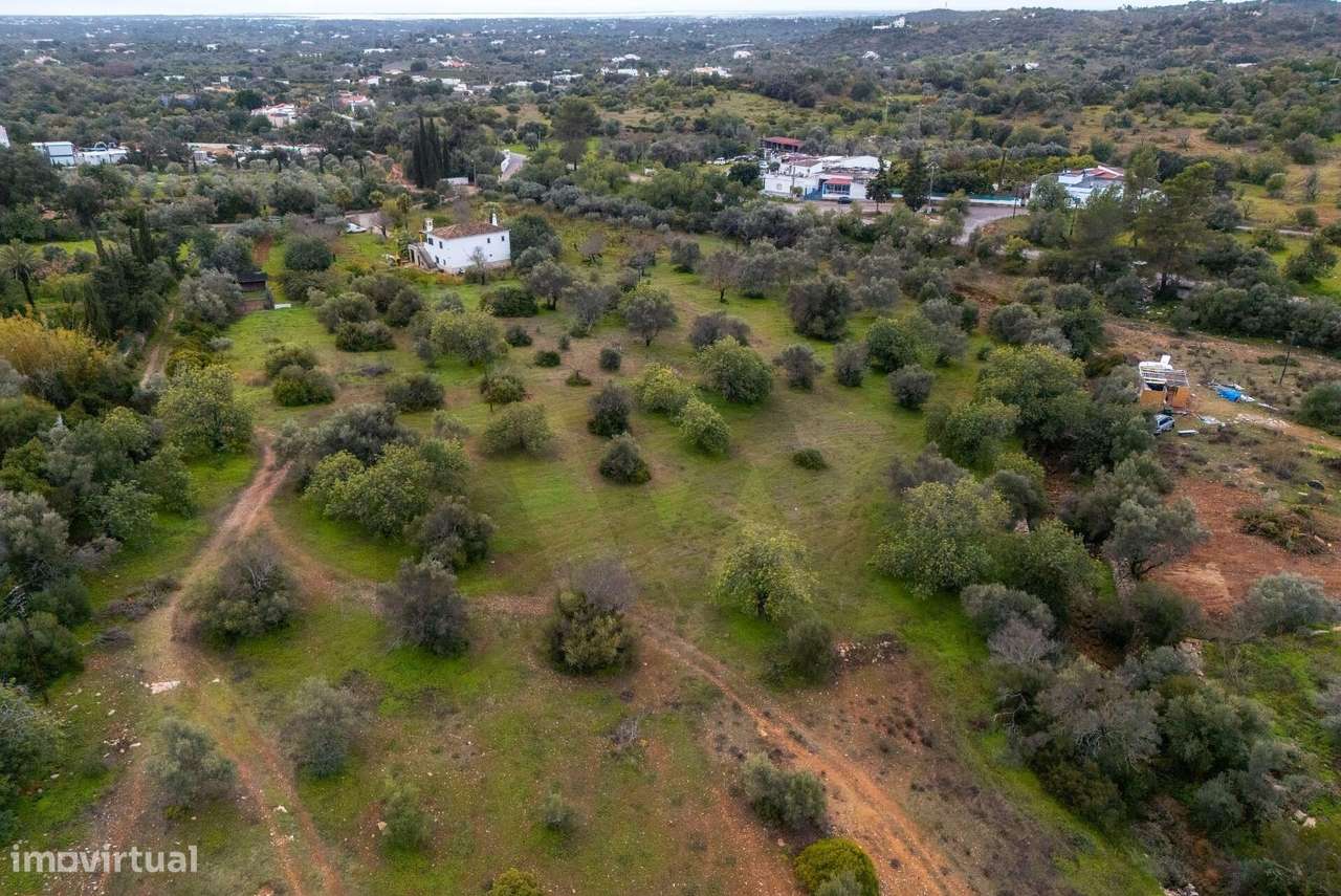Terreno rústico com 45.941m2, junto ao Hotel Vila Monte em Moncarapach - Grande imagem: 4/20