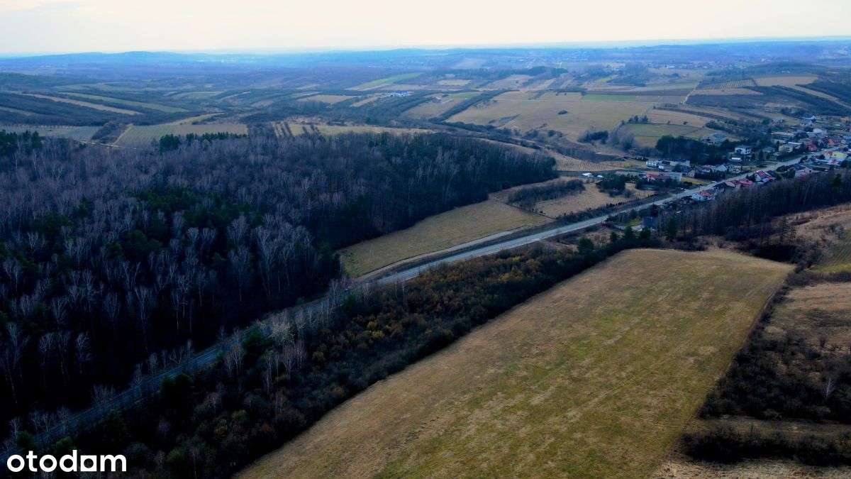 Działka widokowa przy lesie – Mstów, 1072 m2 - Pełny obrazek: 5/7