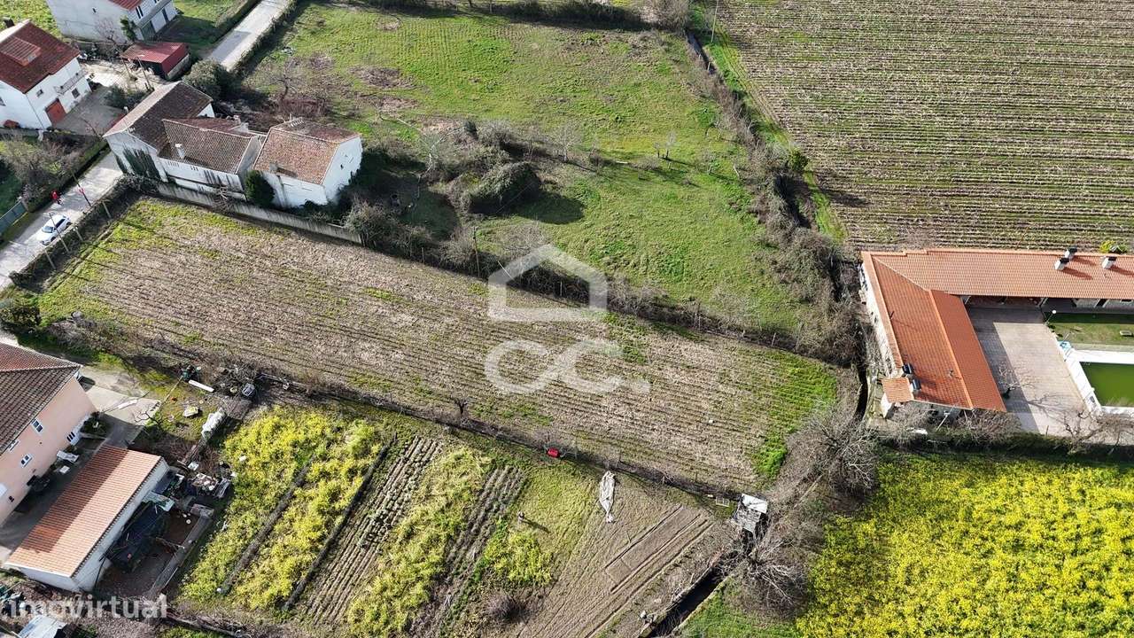 Terreno Rústico com Excelente Acesso e Abundância de Agua para rega –-7