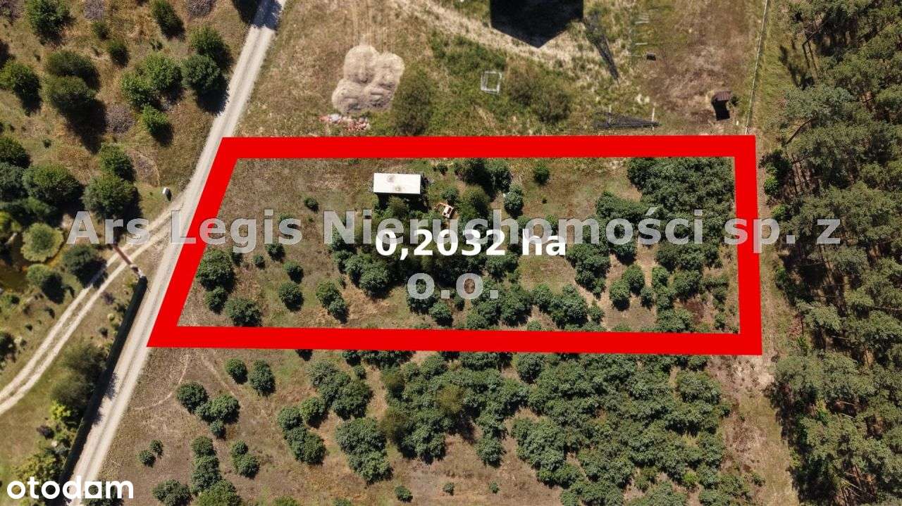 Działka, 2 032 m², Albertów-1