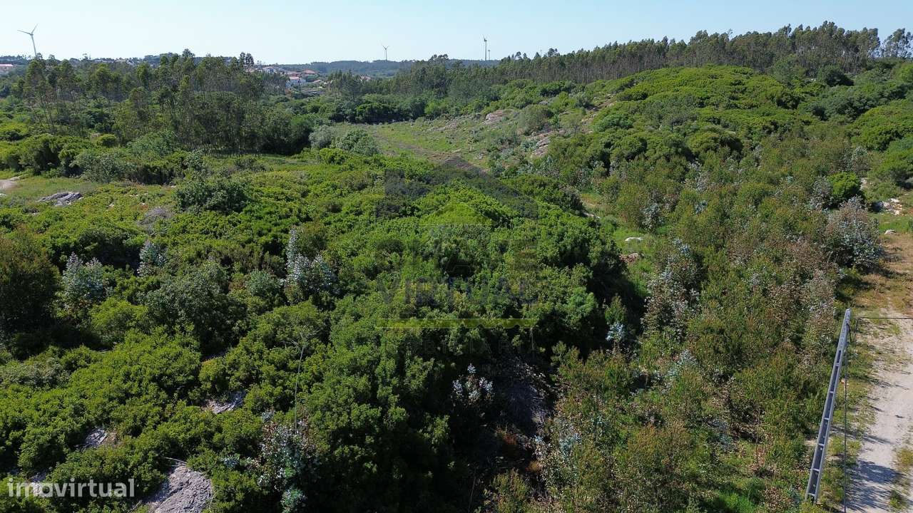 Terreno Rústico c/ 16.520 m2 Reguengo Pequeno - Lourinhã-7