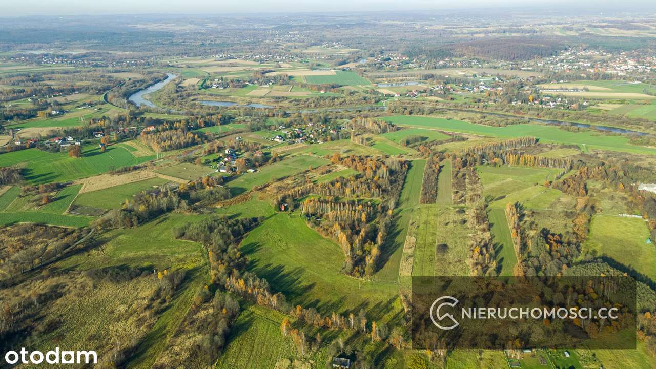 Jaśkowice działka budowlana 213ar - Inwestycyjna - Pełny obrazek: 4/17
