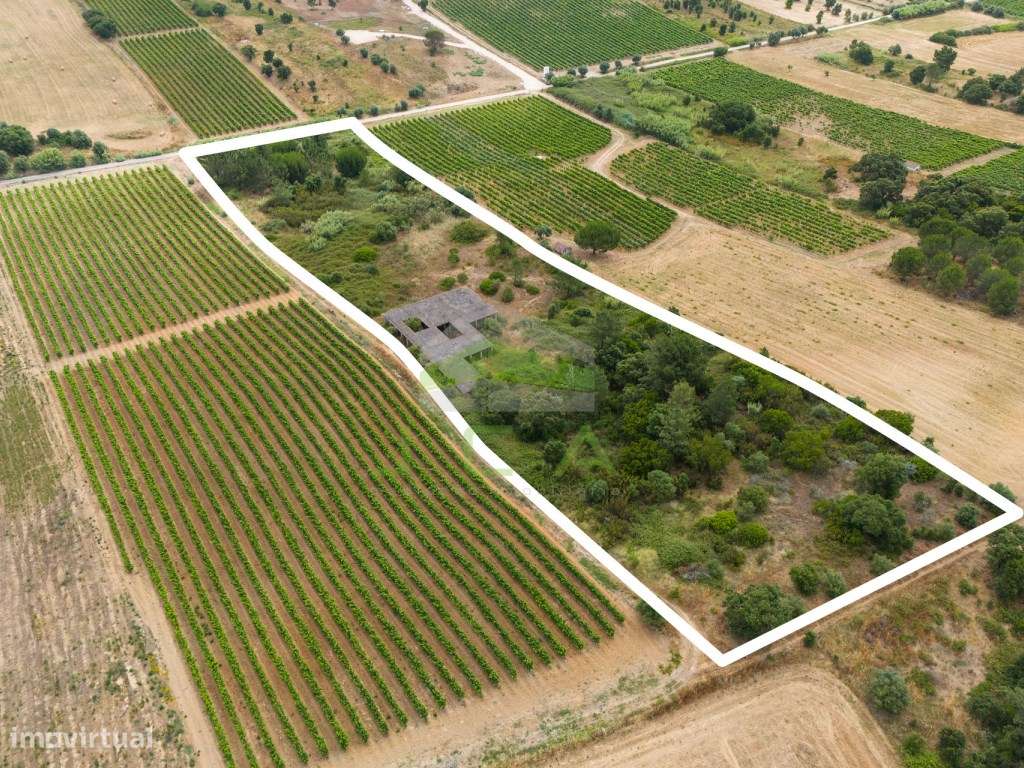 Terreno com 15.840m2 em Aveiras de Cima-13