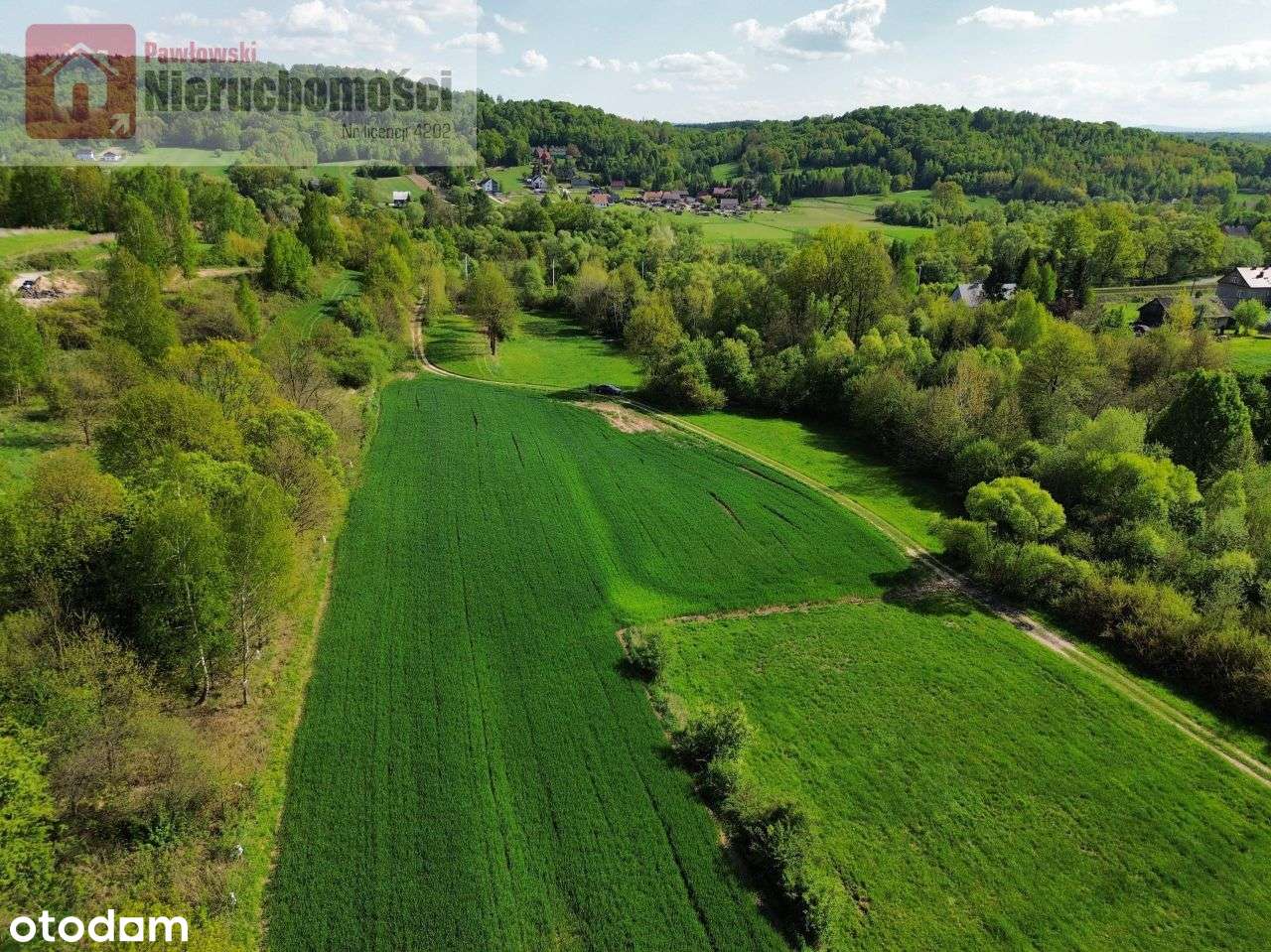 Działka, 5 300 m², Wola Radziszowska - Pełny obrazek: 4/10
